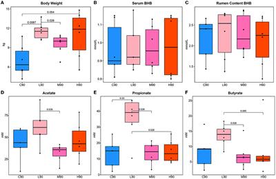 Dietary β-hydroxybutyric acid improves the growth performance of young ruminants based on rumen microbiota and volatile fatty acid biosynthesis